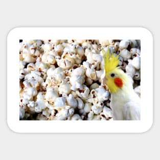 popcorn cockatiel Sticker